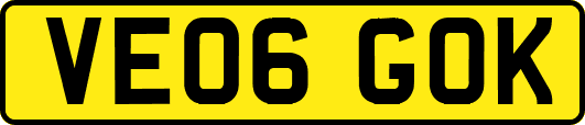 VE06GOK