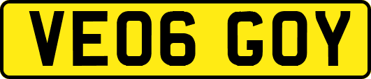 VE06GOY