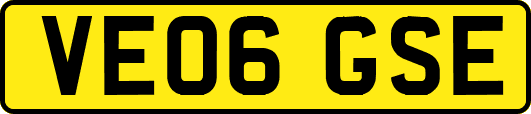 VE06GSE