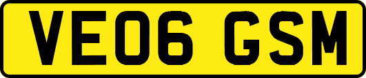 VE06GSM