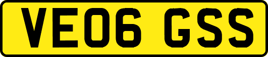 VE06GSS