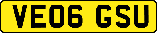VE06GSU