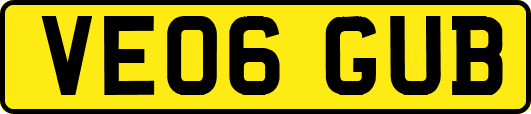 VE06GUB