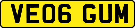 VE06GUM