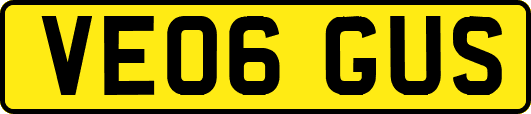 VE06GUS