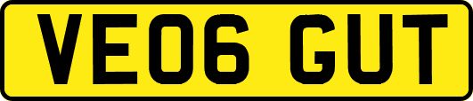VE06GUT