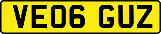 VE06GUZ