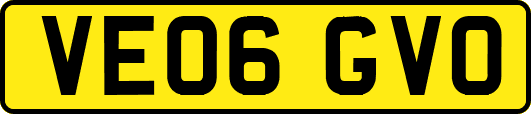 VE06GVO