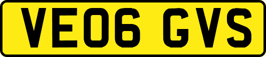 VE06GVS