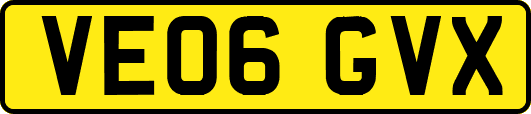 VE06GVX