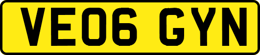 VE06GYN
