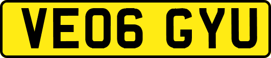 VE06GYU