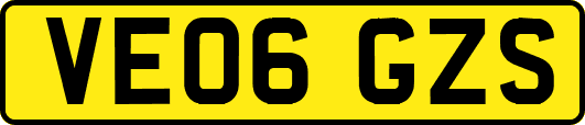 VE06GZS