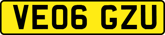 VE06GZU