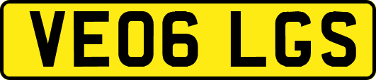 VE06LGS