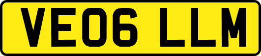 VE06LLM