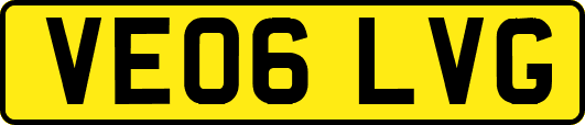 VE06LVG