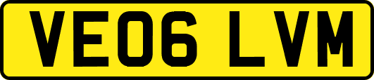 VE06LVM