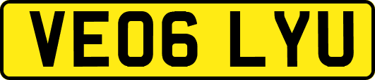 VE06LYU