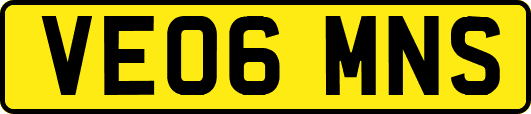 VE06MNS