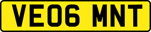 VE06MNT
