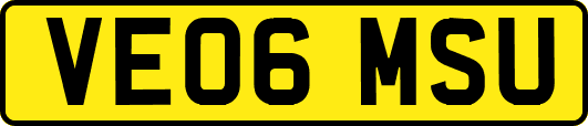 VE06MSU