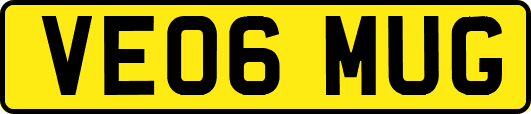 VE06MUG