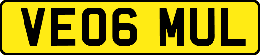 VE06MUL