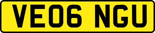 VE06NGU