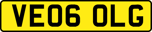 VE06OLG