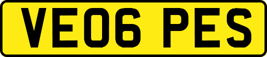 VE06PES
