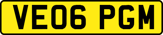 VE06PGM