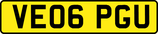 VE06PGU