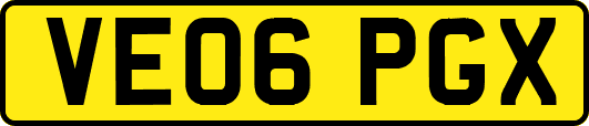 VE06PGX