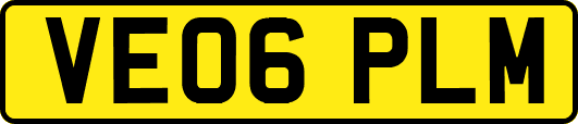 VE06PLM