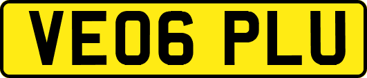 VE06PLU