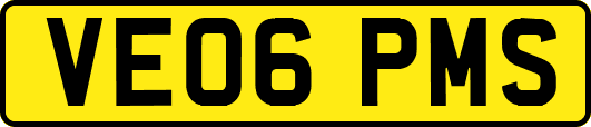 VE06PMS