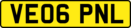 VE06PNL