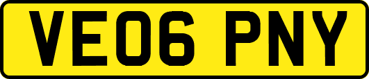 VE06PNY