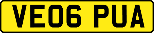 VE06PUA