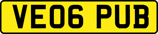 VE06PUB