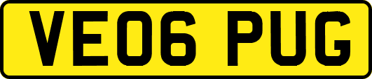 VE06PUG