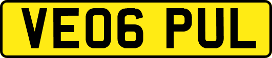 VE06PUL