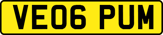 VE06PUM