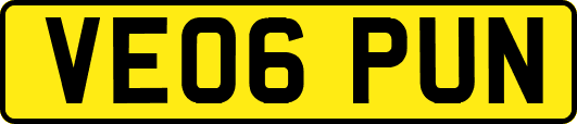 VE06PUN