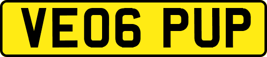 VE06PUP