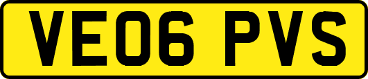 VE06PVS