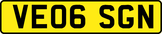 VE06SGN