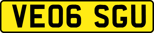 VE06SGU