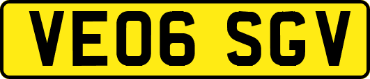VE06SGV